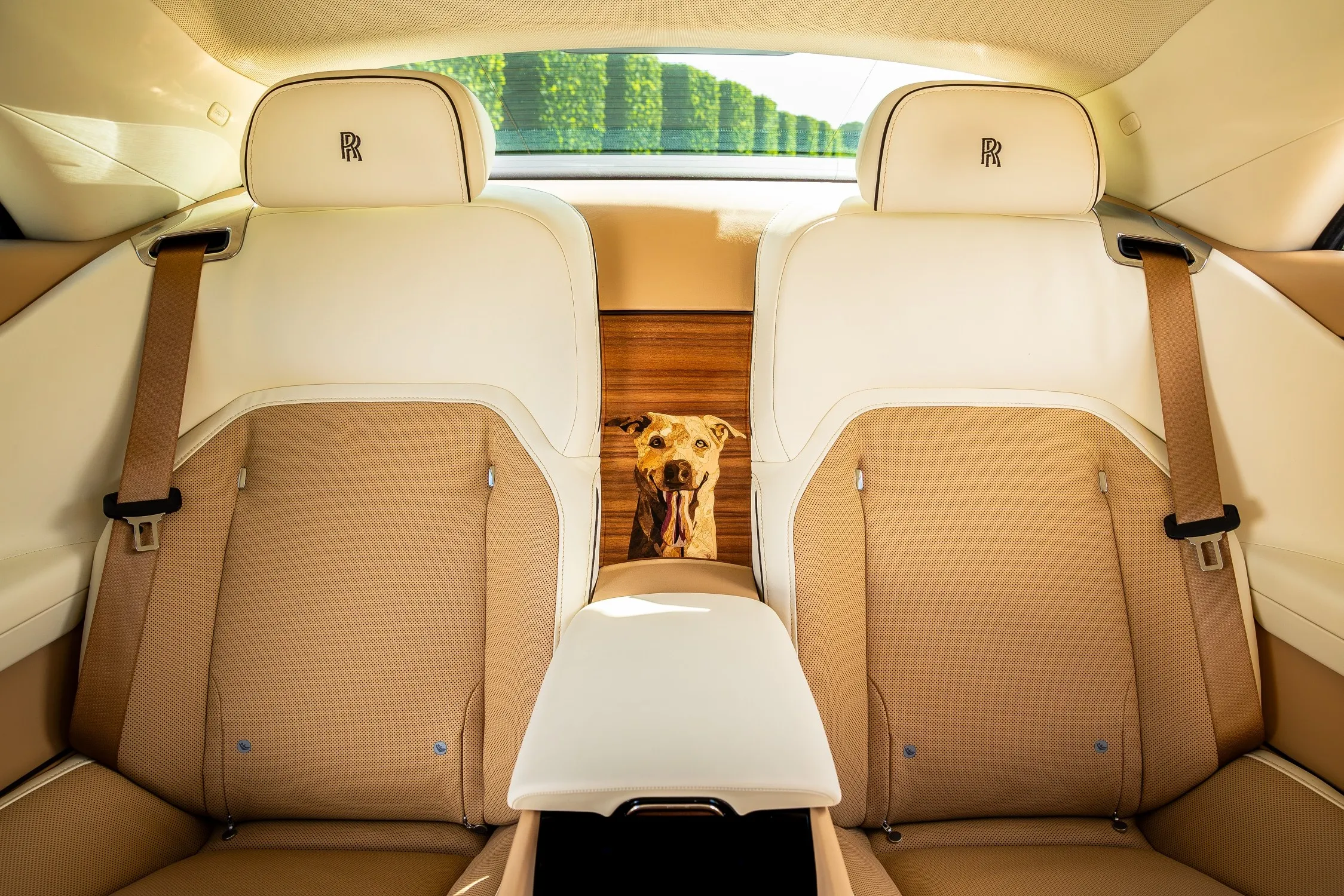 Rolls-Royce Spectre Bailey: A Joyful Tribute to a Beloved Dog | Auto Trader UAE