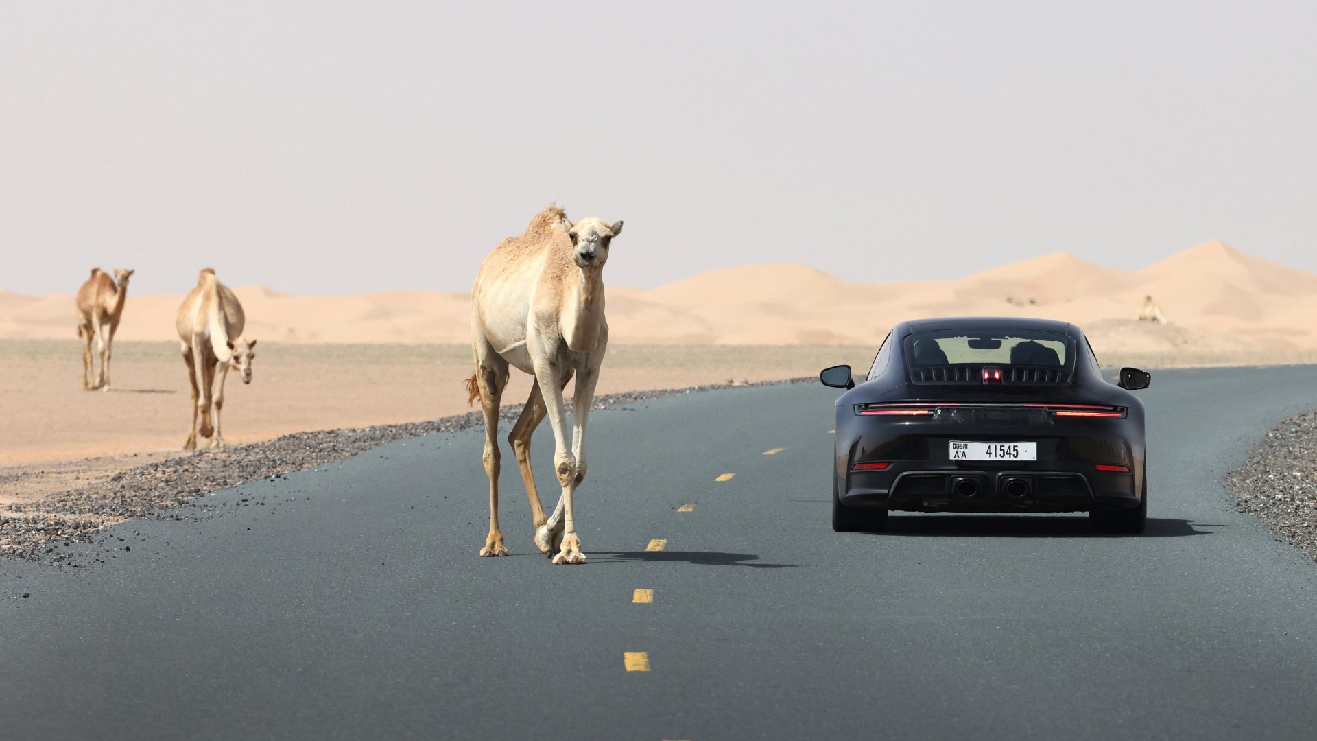 Porsche Unveils the First 911 with Hybrid Drive | Auto Trader UAE