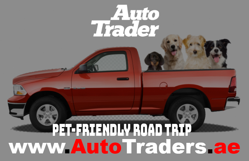 Pet-Friendly Road Trip Tips for the UAE with Your Furry Co-Pilot | Auto Trader UAE
