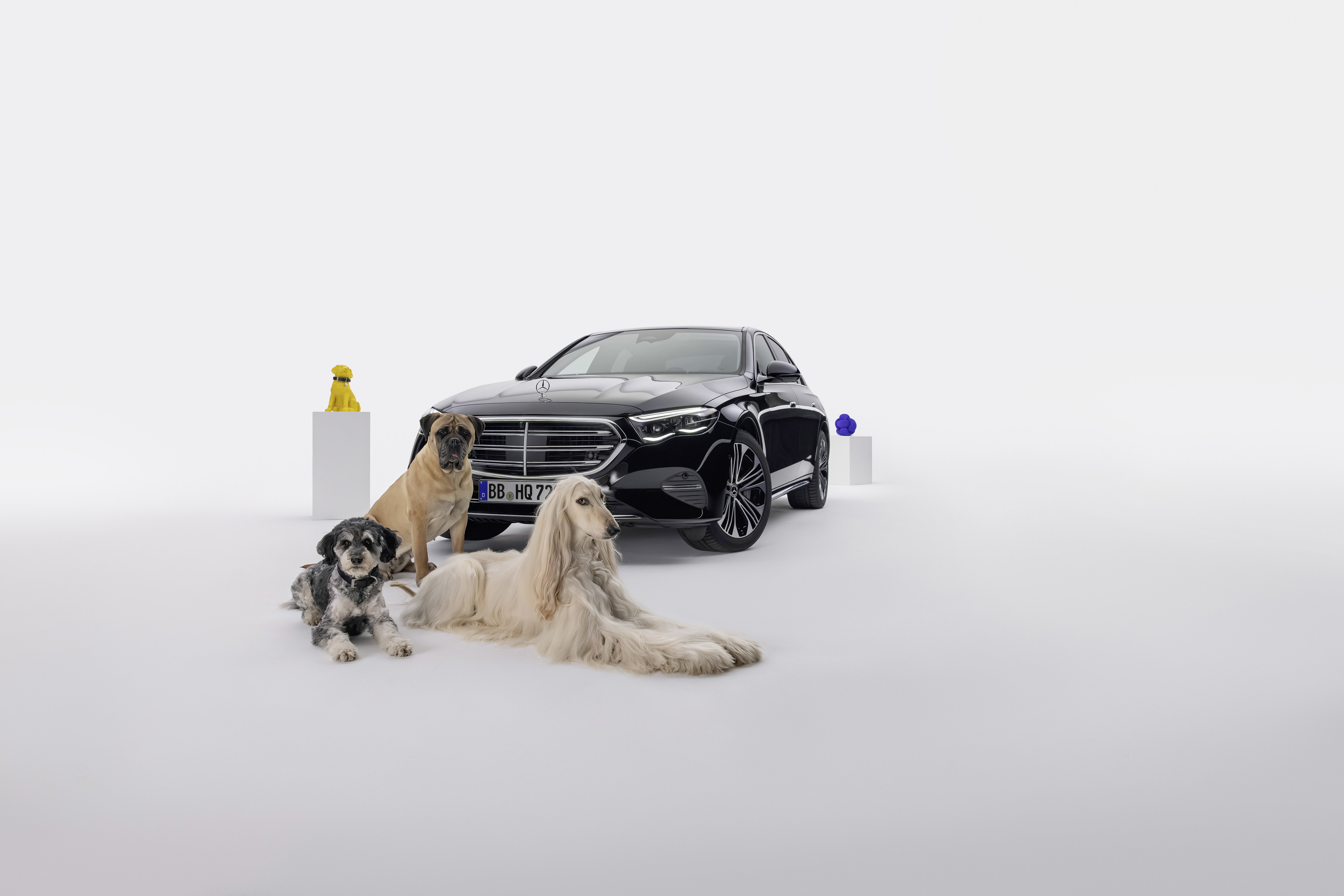 Discover MBUX Bark Assist: Mercedes-Benz's Innovative Voice Assistant for Dogs | Auto Trader UAE