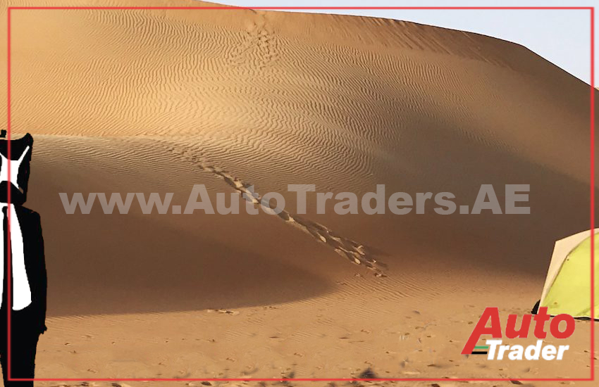 Exploring Nature's Oasis: Camping in Dubai - Auto Trader UAE | Auto Trader UAE