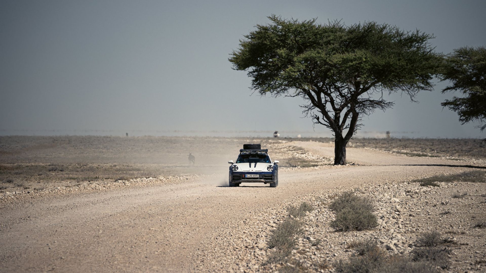 Camp 911 Namibia: Experience the Porsche 911 Dakar Adventure | Auto Trader UAE | Auto Trader UAE