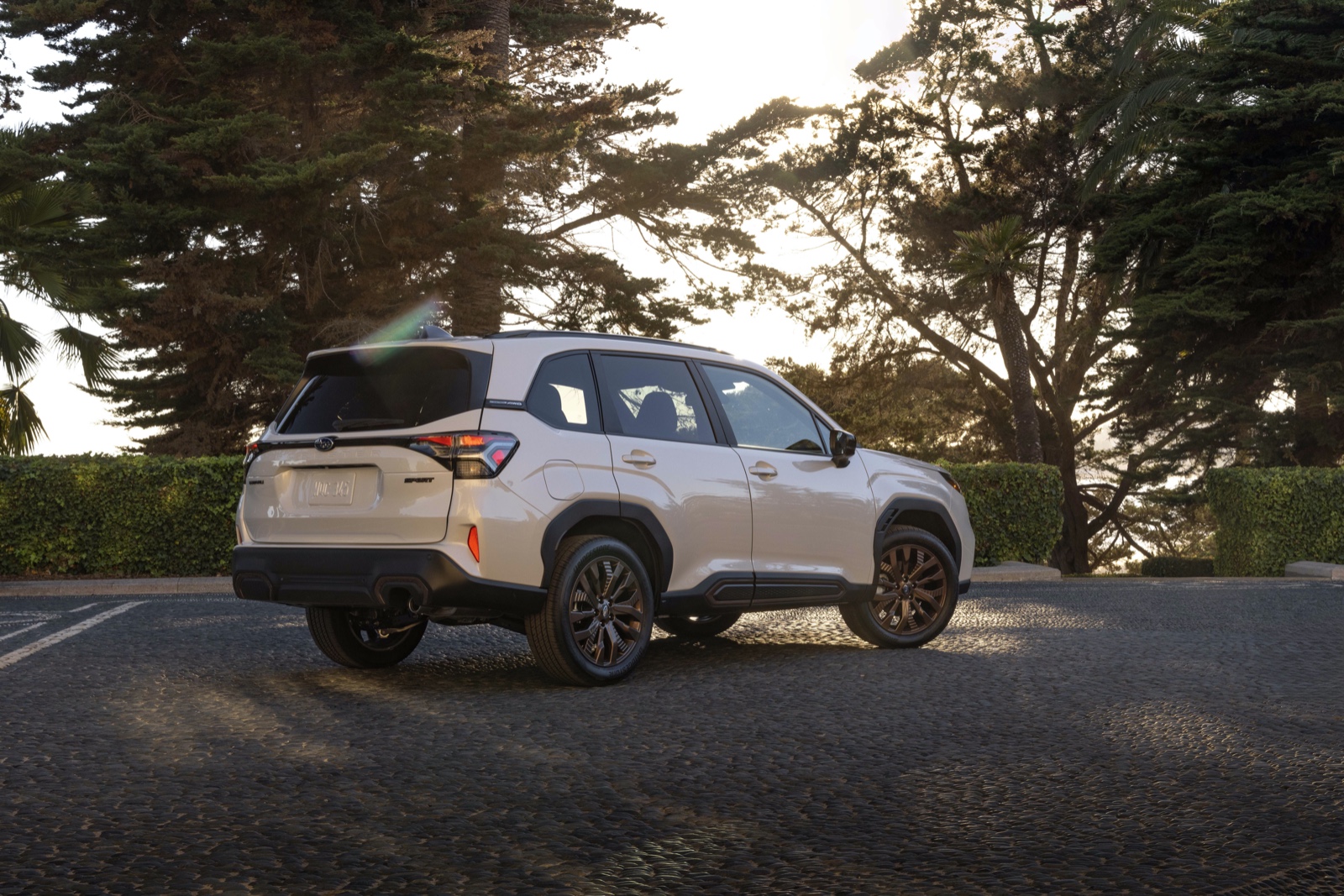 Discover the All-New 2025 Subaru Forester at Auto Trader UAE | Auto Trader UAE