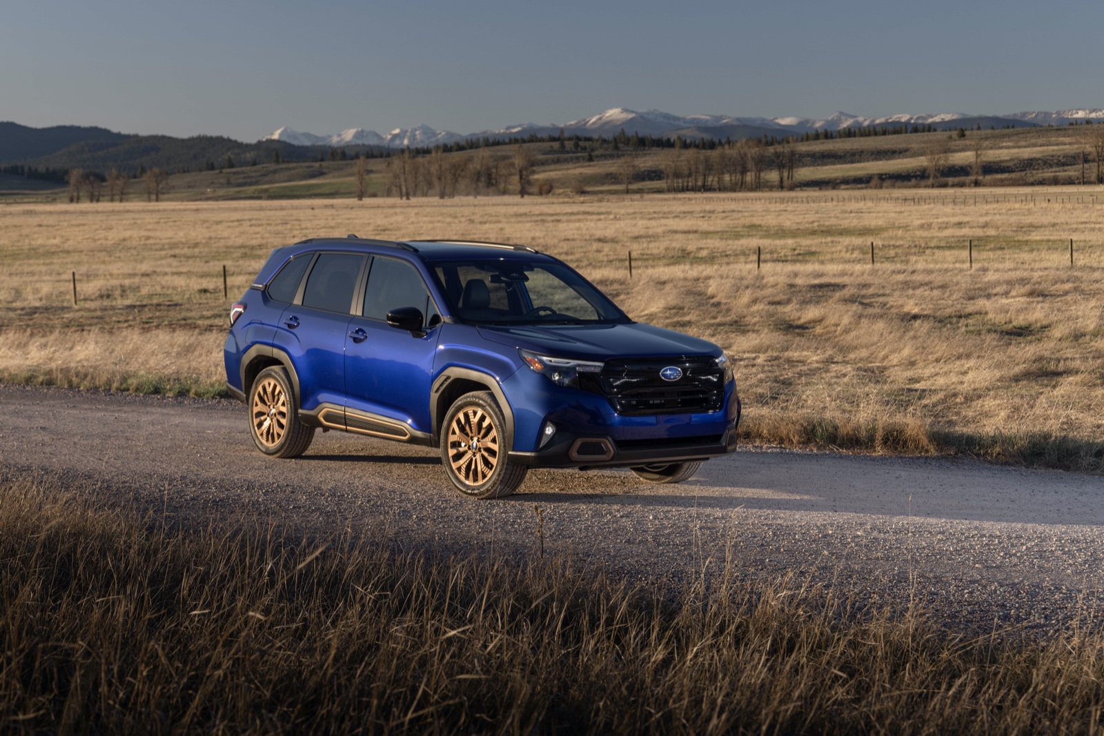 Discover the All-New 2025 Subaru Forester | Auto Trader UAE | Auto Trader UAE
