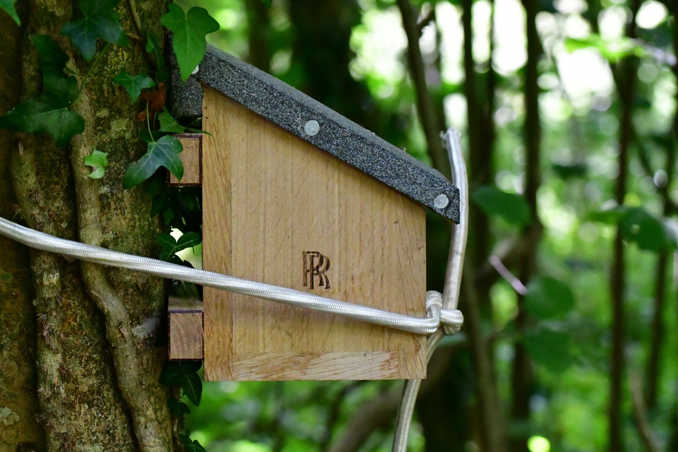 Rolls-Royce Apprentices Craft Dormouse Houses – Luxury Meets Conservation | Auto Trader UAE