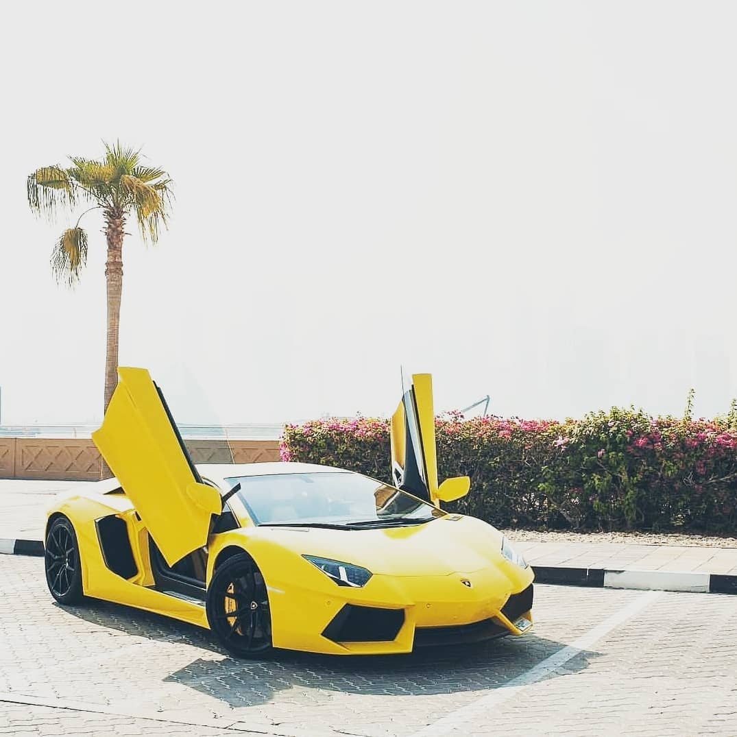 Explore Cars Made from Space-age Materials in Dubai | Auto Trader UAE