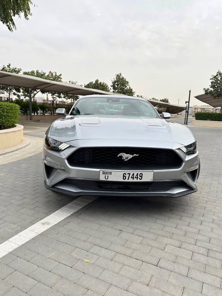 2021 فورد موستانج EcoBoost