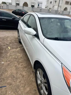 2011 Hyundai Sonata SE