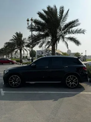 2017 Mercedes-Benz GLC GLC350e