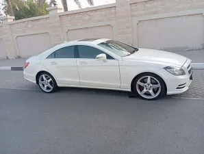 2014 Mercedes-Benz CLS CLS500