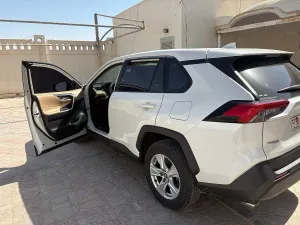 2019 Toyota Rav4 SE