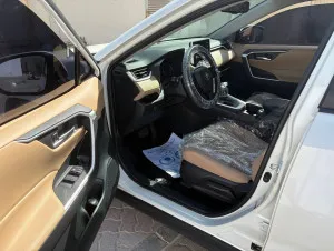 2019 Toyota Rav4 SE