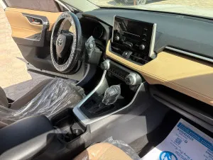 2019 Toyota Rav4 SE