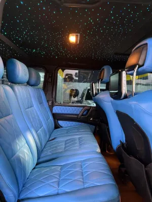 2017 Mercedes-Benz G-Class 4x4 Standard
