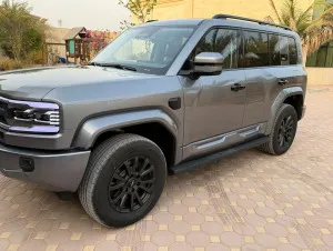 2025 بي واي دي ليوبارد