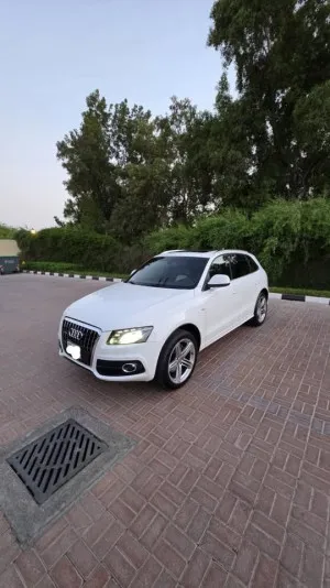 2010 اودي كيو٥ Premium Plus