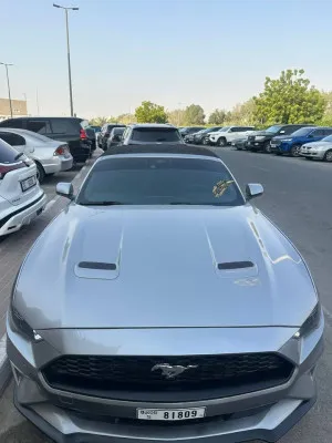 2022 فورد موستانج EcoBoost Fastback