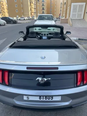 2022 فورد موستانج EcoBoost Fastback
