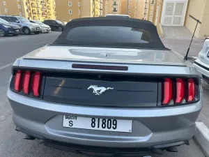 2022 فورد موستانج EcoBoost Fastback