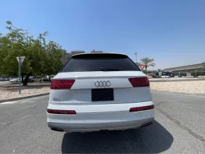 2019 اودي كيو٧ Premium Plus