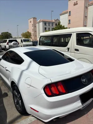 2015 فورد موستانج Shelby GT350