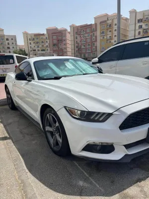 2015 فورد موستانج Shelby GT350