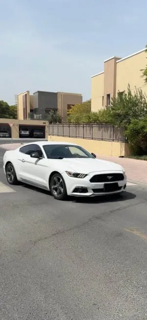 2015 فورد موستانج Shelby GT350