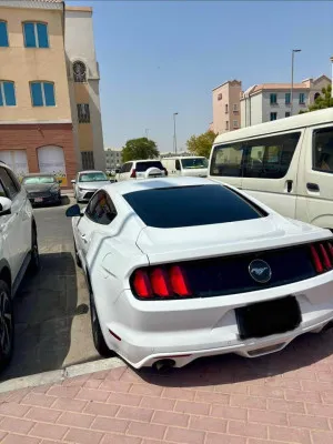 2015 فورد موستانج Shelby GT350
