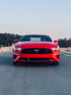 2021 فورد موستانج EcoBoost Premium
