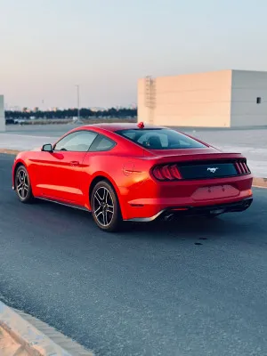 2021 فورد موستانج EcoBoost Premium