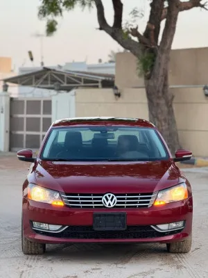 2015 فولجس فاجن باسات S