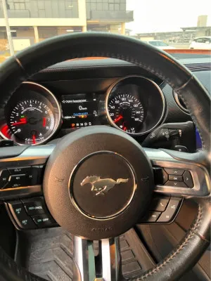 2021 Ford Mustang EcoBoost