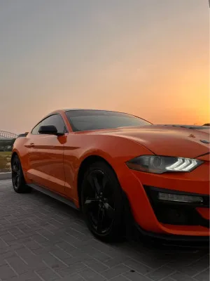 2021 Ford Mustang EcoBoost