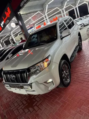 2019 Toyota Prado GX