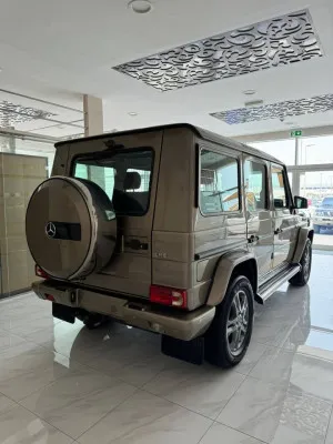 2014 Mercedes-Benz G-Class G500