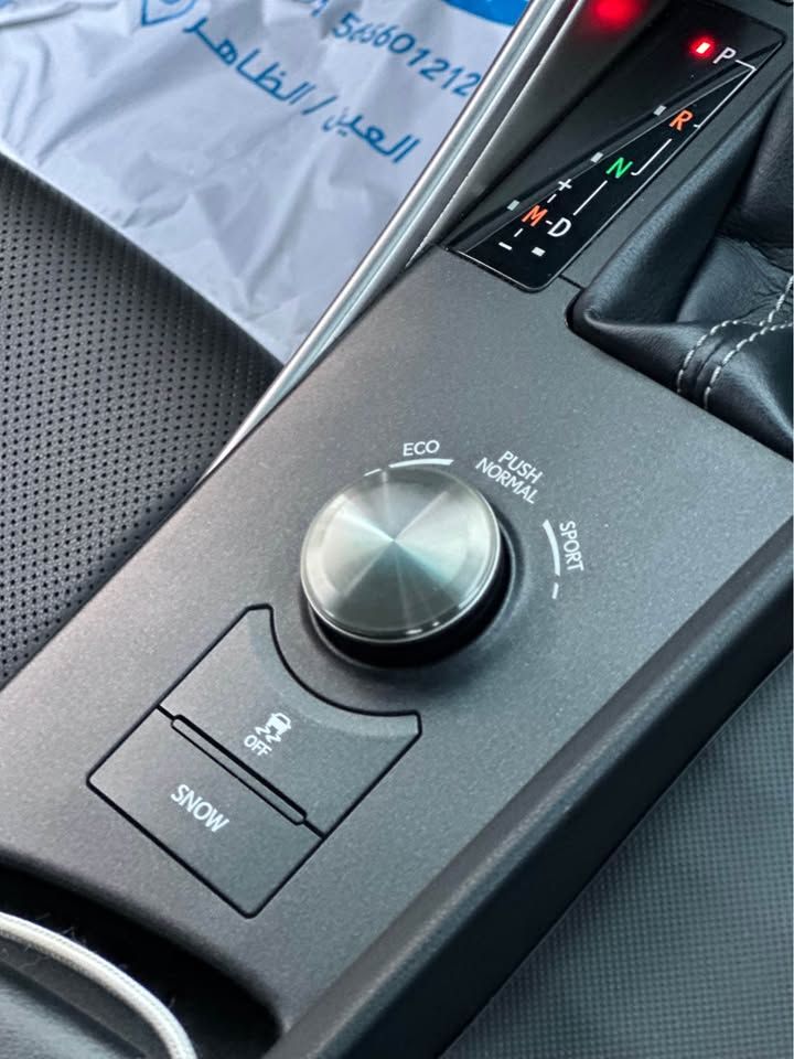 2019 Lexus IS IS 300