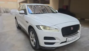 2018 جاكوار اف بيس R-Dynamic S