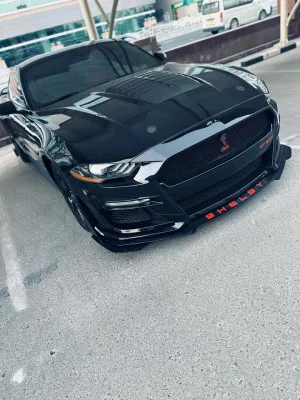 2017 فورد موستانج Shelby GT350