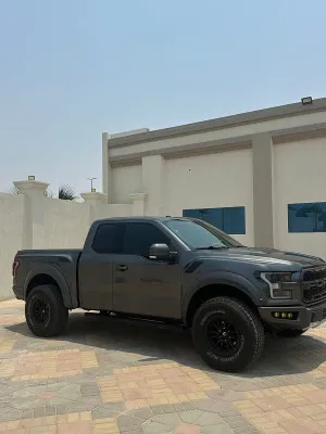 2017 فورد رابتر