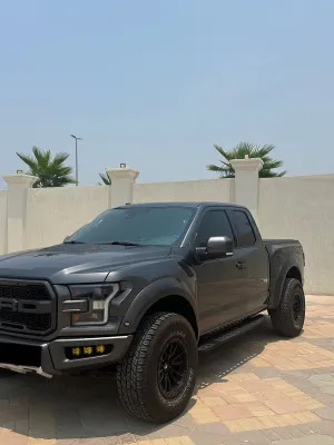 2017 فورد رابتر