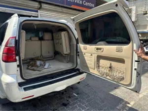 2009 Lexus GX 460 Luxury