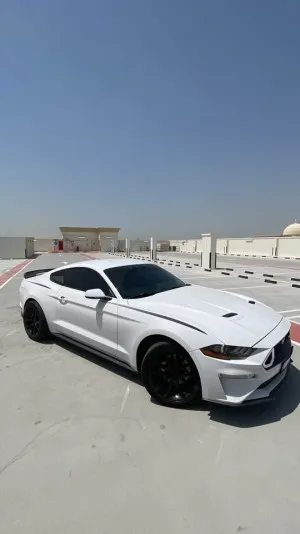 2019 فورد موستانج GT