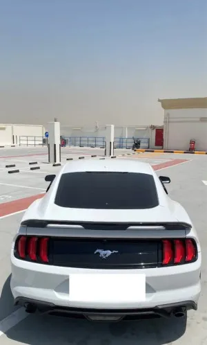 2019 فورد موستانج GT