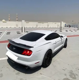 2019 فورد موستانج GT