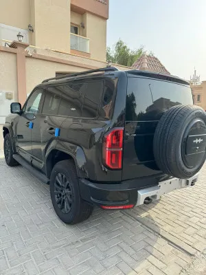 2024 بي واي دي ليوبارد