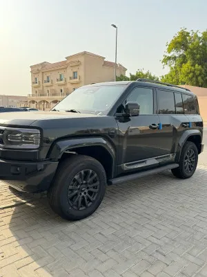 2024 بي واي دي ليوبارد
