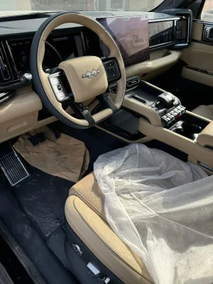 2024 بي واي دي ليوبارد