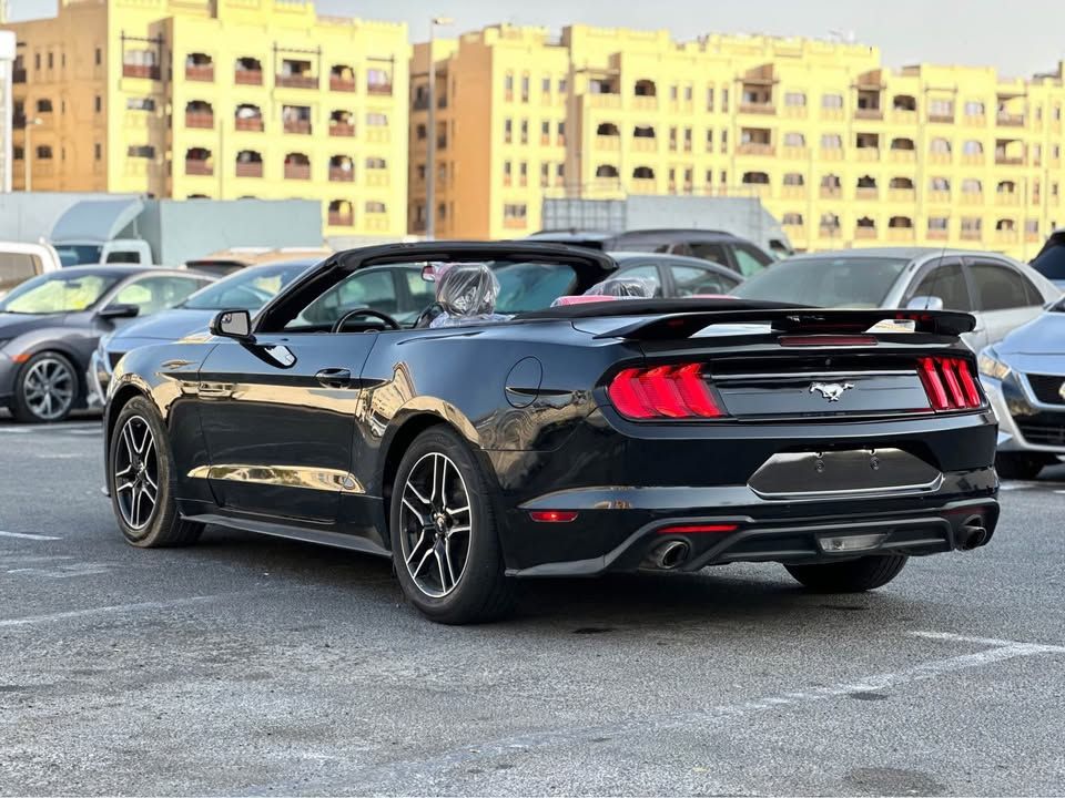 2023 فورد موستانج EcoBoost Convertible