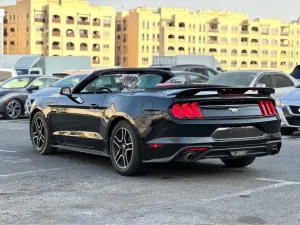 2023 فورد موستانج EcoBoost Convertible