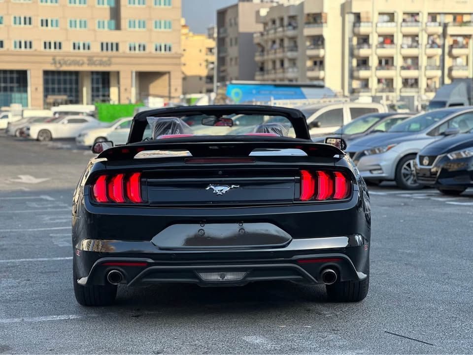 2023 فورد موستانج EcoBoost Convertible